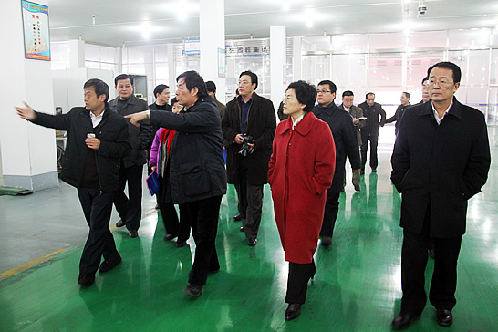 國務(wù)院參事、科技部原副部長劉燕華到汶上縣新風(fēng)光電子科技發(fā)展有限公司調(diào)研