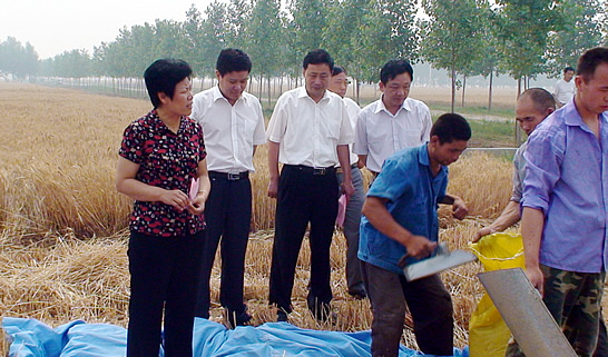 汶上縣人大常委會副主任戴福盈，汶上縣政府副縣長閆波到鄉(xiāng)鎮(zhèn)督導檢查“三夏”生產和秸 ...