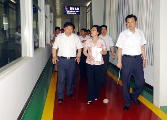 ，濟寧市政府副市長陳穎率市科技進步考核組來汶上縣考核2009—2010年度科技進步工作
