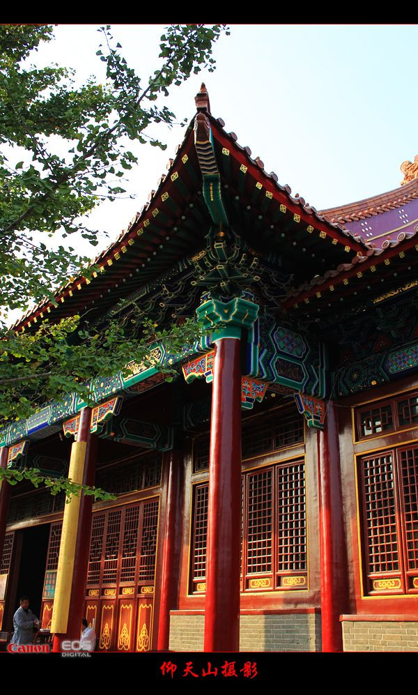 汶上寶相寺 - sdqztjl - 靜靜的港灣