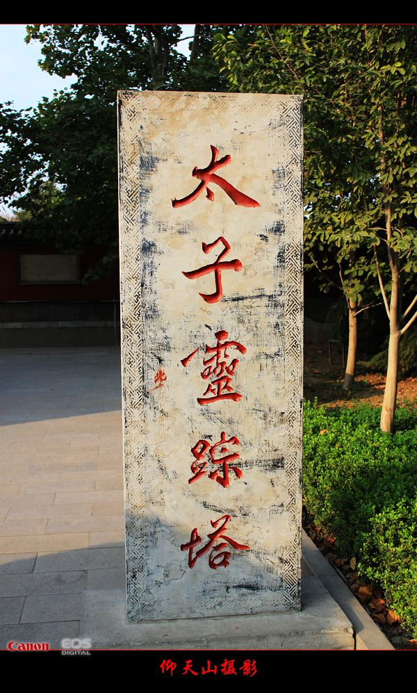 汶上寶相寺 - sdqztjl - 靜靜的港灣