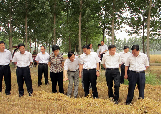 趙東升、孫琪分別到康驛鎮(zhèn)、汶上鎮(zhèn)、南站鎮(zhèn)等鄉(xiāng)鎮(zhèn)督導(dǎo)檢查三夏生產(chǎn)和秸桿禁燒工作