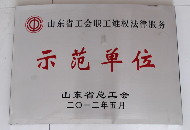 汶上縣總工會(huì)困難職工幫扶中心被省總工會(huì)命名為“山東省工會(huì)職工維權(quán)法律服務(wù)示范單位 ...