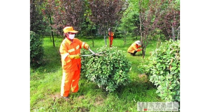汶上公路局對(duì)公路兩側(cè)綠化帶進(jìn)行全面整治 喜迎2012國(guó)慶中秋雙節(jié)