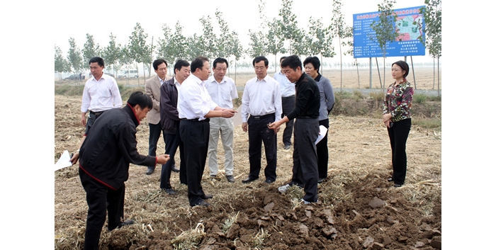 山東省農(nóng)廳副廳長(zhǎng)王登啟來(lái)汶上縣檢查指導(dǎo)“三秋”生產(chǎn)工作