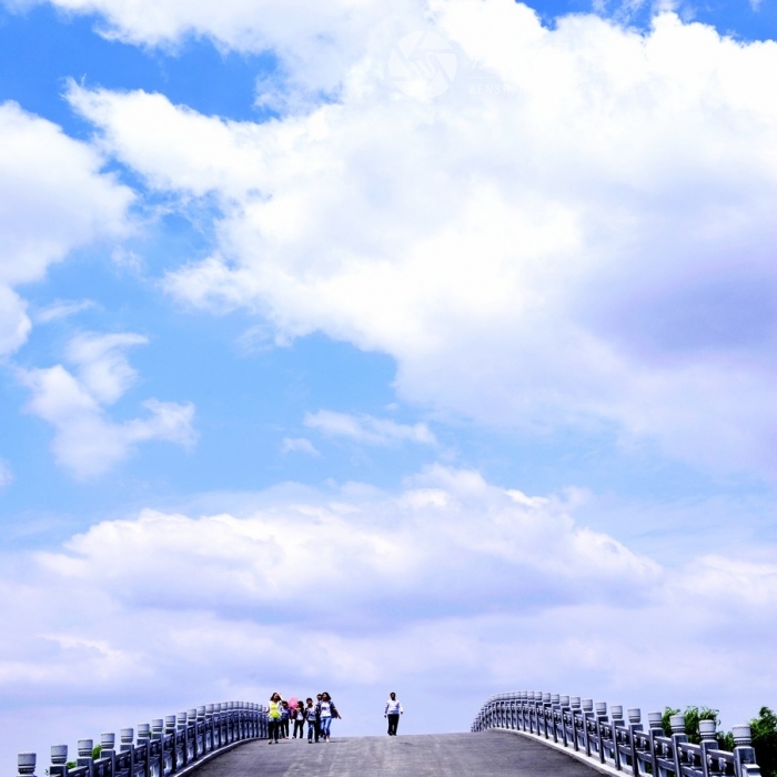 關(guān)于舉辦汶上蓮花湖濕地攝影大賽暨優(yōu)秀作品展的通知