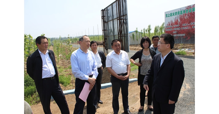 侯典峰陪同林兆謙到縣蘆花雞協(xié)會(huì)、義橋鎮(zhèn)苗木基地實(shí)地檢查指導(dǎo)