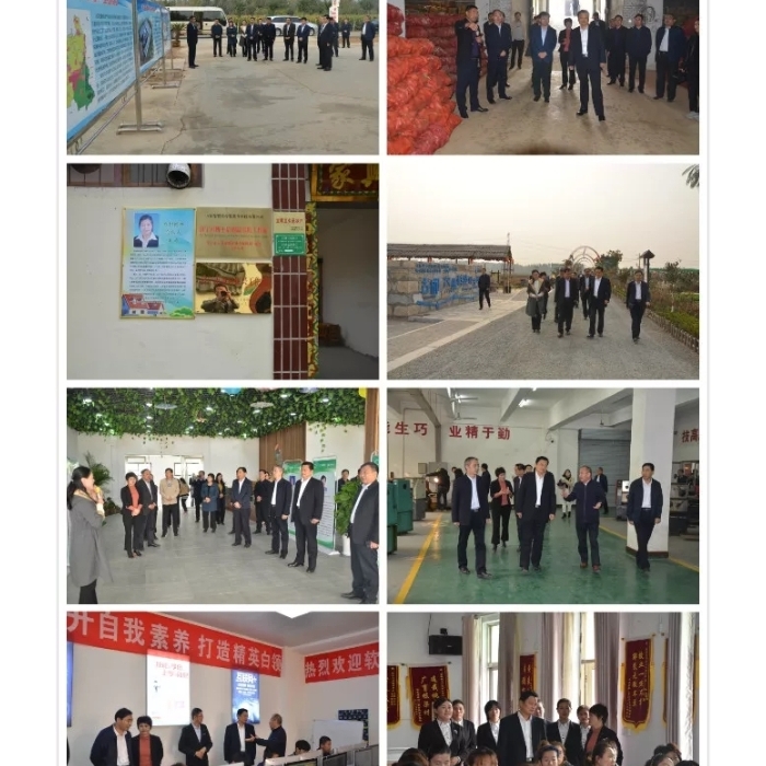 汶上縣人民政府 工作動態(tài) 縣政協視察全縣鄉(xiāng)村人才振興工作