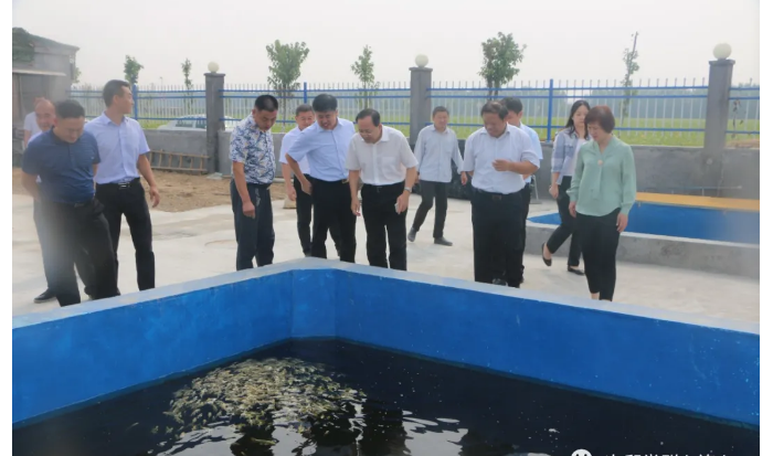省國資委黨委委員、副主任，機關(guān)黨委書記尹剛到次邱鎮(zhèn)調(diào)研指導(dǎo)省派鄉(xiāng)村振興服務(wù)隊工作
